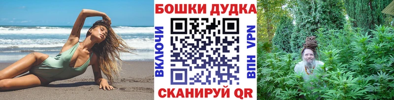 как найти наркотики  Усть-Джегута  Бошки Шишки Ganja 